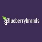 Blueberry Brands Discount Code