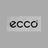 Ecco Shoes