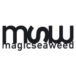 Magic Seaweed