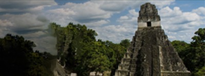 Novica