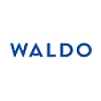 Waldo Daily Contact Lenses